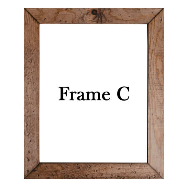 Frame C - Image 2