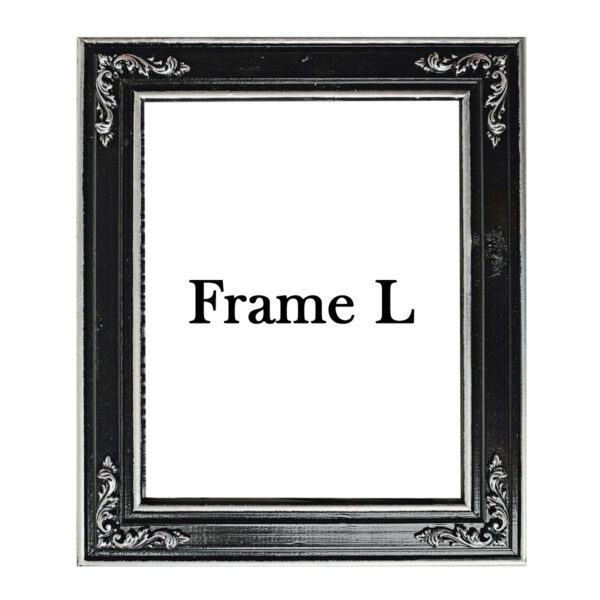 Frame L - Image 2